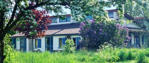 kippenhok.jpg